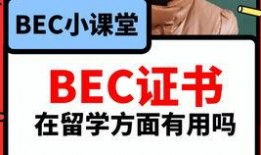 吃瓜视频爆料小说免费阅读,热门小说免费阅读背后的秘密
