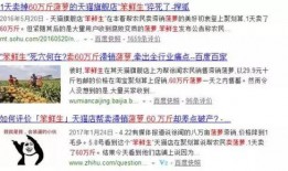 热点爆料农民工视频下载,揭示社会现象背后的心酸故事