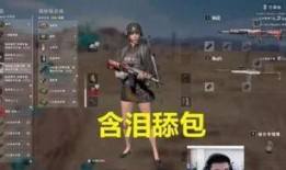 吃鸡渣男爆料视频大全,视频爆料大全深度解析