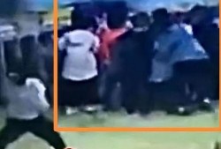 石家庄幼师爆料视频播放,揭秘幼儿园真实日常