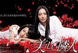 美丽邻居在线观看,线上邂逅的温馨故事