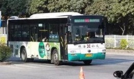 珠海公交车爆料视频大全,揭秘城市公交那些事儿