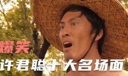 刘海柱爆料视频大全集,揭秘娱乐圈幕后真相