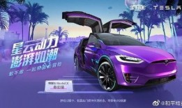 特斯拉载具皮肤爆料最新,未来出行新风尚