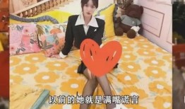 湖南女网红被爆料视频播放,揭秘背后真相