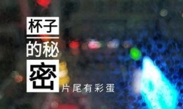 无锡饭店爆料视频最新版,惊人内幕曝光！