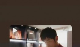 狗仔王力宏爆料视频大全,狗仔王力宏独家爆料视频大揭秘