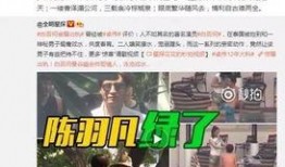 邻居爆料黄琴视频大全,黄琴视频大全引发热议