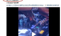 广州雨神爆料视频大全下载,揭秘城市雨季风云变幻