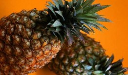 娱乐吃瓜小菠萝视频大全,盘点热门视频大全