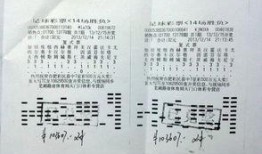 网友爆料彩票视频大全集,揭秘中奖瞬间与幕后故事