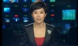 三台电视台新闻爆料电话,揭秘新闻爆料热线背后的故事