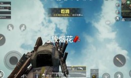 吃鸡爆料烟花视频,揭秘最新爆料视频