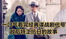 代号电视剧在线观看,揭秘经典剧集背后的精彩瞬间