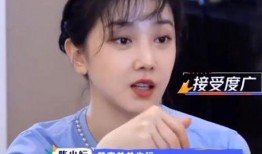 王鹤棣爆料狗仔视频大全,揭秘娱乐圈隐私围剿背后的故事