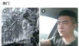 蘑菇爆料视频在线观看,揭秘幕后真相，带你走进网络世界