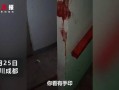 成都爆料家长打人案件视频