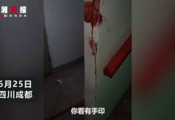 成都爆料家长打人案件视频