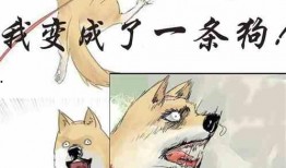 吃瓜打赌小说免费阅读,揭秘吃瓜群众的免费阅读冒险之旅