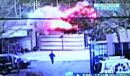 蛋仔岛下雪爆料视频在线观看,冬日奇观，探索神秘岛屿新景观