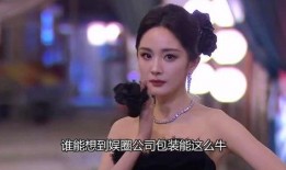 内娱师姐爆料视频大全,揭秘娱乐圈幕后真相