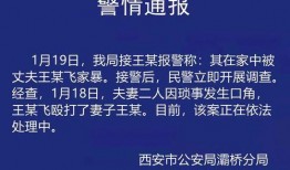 家暴妻子王鹏飞爆料视频,勇敢揭露丈夫暴力行径