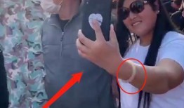 男子爆料五嫂视频播放,揭秘网络爆料的背后真相