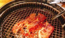 港城美食爆料视频下载大全,下载大全带你领略地道风味