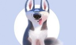 大河马爆料二哈视频全集,爆笑视频全集大揭秘