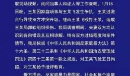 家暴妻子王鹏飞爆料视频,勇敢揭露丈夫暴力行径