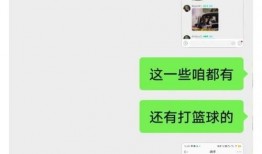 王鹤棣爆料狗仔视频大全,揭秘娱乐圈隐私围剿背后的故事