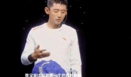 媒体爆料张继科事件视频,真相与争议交织