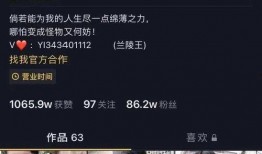 爆料萍乡网红视频播放,播放量惊人！揭秘背后故事