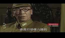 枪械师全集在线观看,在线观看，揭秘枪械世界的传奇故事