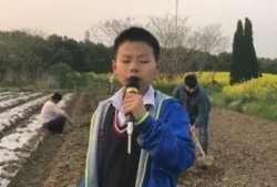 菜棚哥最新爆料,最新爆料背后的惊人真相