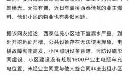 开朗网友的爆料视频,揭秘网络背后的真实故事