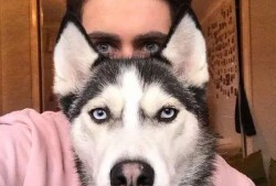 大河马爆料二哈视频全集,爆笑视频全集大揭秘