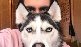 大河马爆料二哈视频全集,爆笑视频全集大揭秘