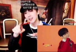 天涯爆料刘宇宁视频播放,刘宇宁视频播放引发热议，真相究竟如何？