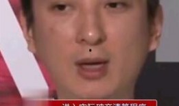 娱乐吃瓜熊猫视频在线观看,在线观看，笑料连连