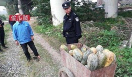 盐山网红吃瓜事件视频曝光,视频曝光引发网友热议