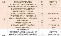 电网女职工爆料新闻报道,揭秘电力行业背后故事