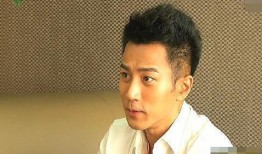 刘恺威老爹爆料了吗视频,揭秘娱乐圈背后的真相