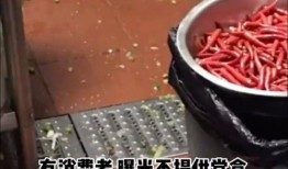 重庆鱼蛋后厨爆料视频,揭秘鱼蛋制作全过程