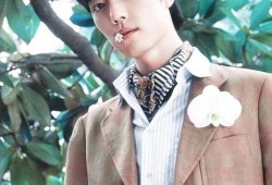 娱乐圈揭秘爆料任嘉伦,娱乐圈背后的真实人生