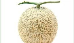 鸡泽吃瓜群众免费吃瓜,免费吃瓜活动引全民狂欢