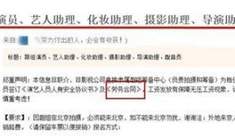 网站爆料视频违法吗,网站爆料视频违法边界探讨