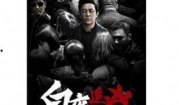 百夜追凶在线观看,揭秘暗夜追凶的惊险之旅