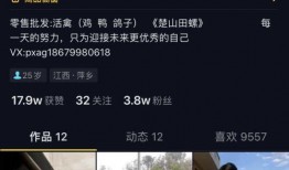 爆料萍乡网红视频播放,播放量惊人！揭秘背后故事