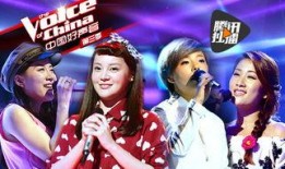 中国好声音第三季在线观看,巅峰对决，在线视听盛宴